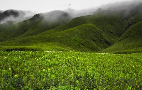 世界杯最新比赛消息-世界杯最新比赛消息，激情与悬念交织的绿茵盛宴